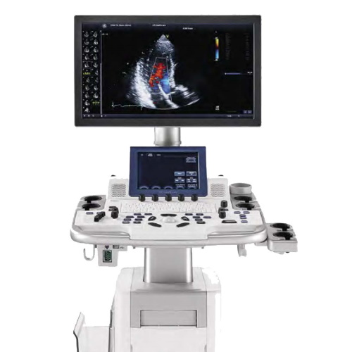 GE Vivid T8